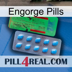 Engorge Pills new03